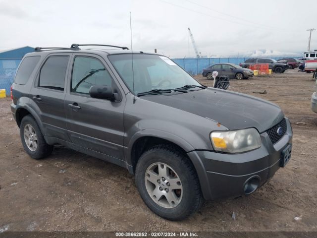 Auction sale of the 2005 Ford Escape Limited , vin: 1FMYU94155KA55890, lot number: 438662852