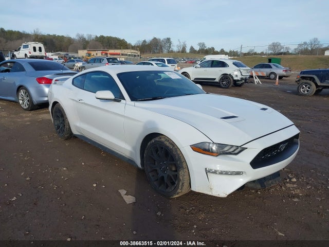 Ford Mustang Ecoboost 2019 1FA6P8TH3K5124412 Image 1