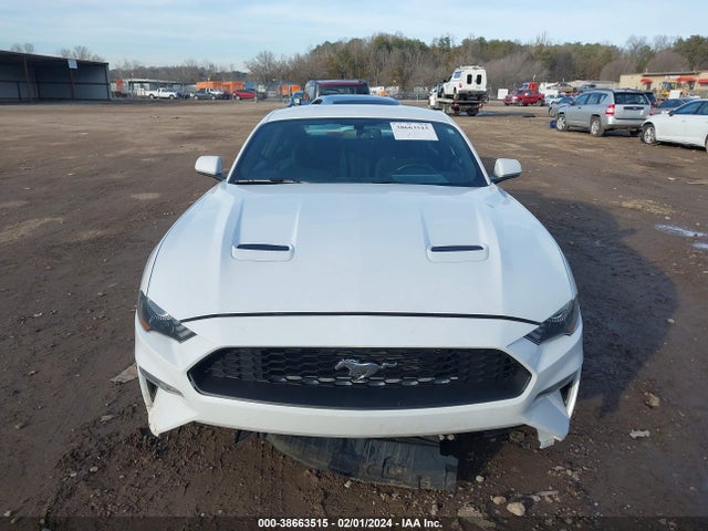 Ford Mustang Ecoboost 2019 1FA6P8TH3K5124412 Image 13