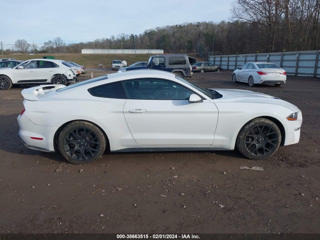 Ford Mustang Ecoboost 2019 1FA6P8TH3K5124412 Image 14