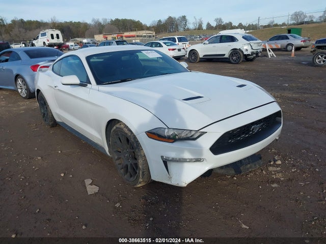 Ford Mustang Ecoboost 2019 1FA6P8TH3K5124412 Image 12