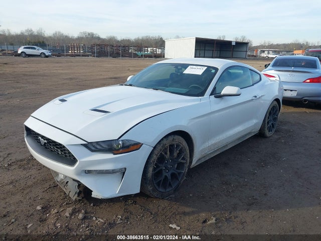 Ford Mustang Ecoboost 2019 1FA6P8TH3K5124412 Image 2