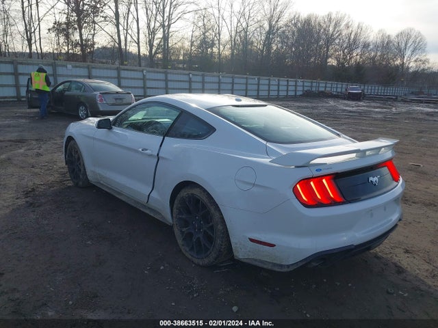 Ford Mustang Ecoboost 2019 1FA6P8TH3K5124412 Image 3