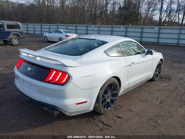 Ford Mustang Ecoboost 2019 1FA6P8TH3K5124412 Image 4