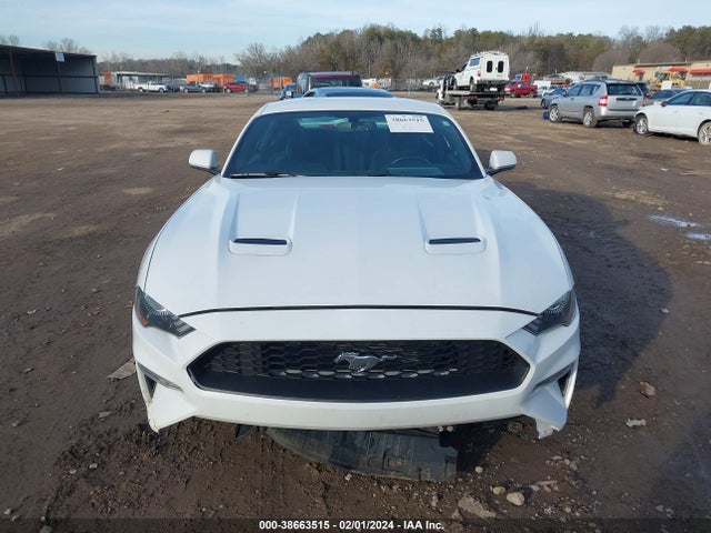 Ford Mustang Ecoboost 2019 1FA6P8TH3K5124412 Image 6