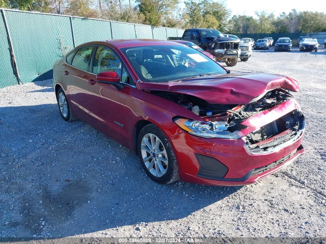 2019 3FA6P0LU9KR206706 main image