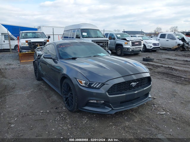 2017 1FA6P8AM4H5311781 main image