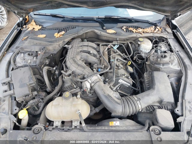 Ford Mustang V6 2017 1FA6P8AM4H5311781 Image 10