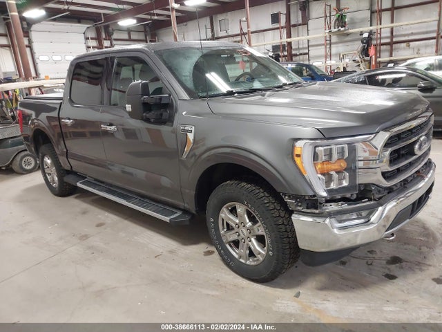 2021 FORD F-150 XLT VIN: 1FTFW1E87MFD14499