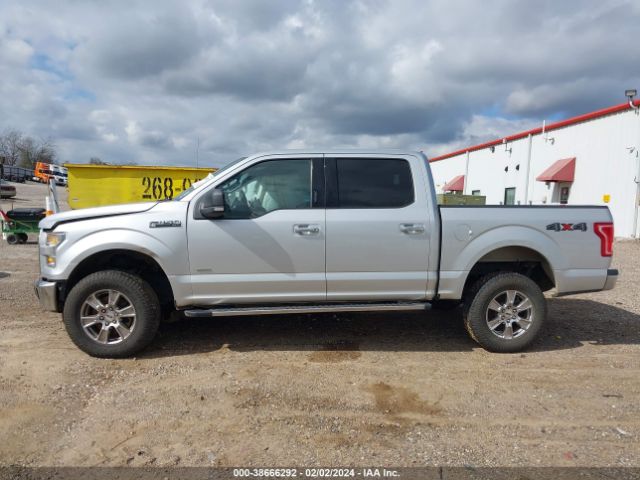 1FTEW1EGXFKD31956 Ford F-150 Xlt