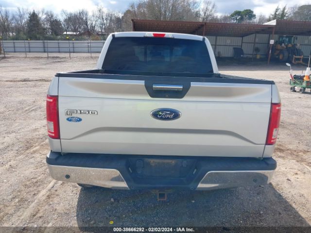 1FTEW1EGXFKD31956 Ford F-150 Xlt