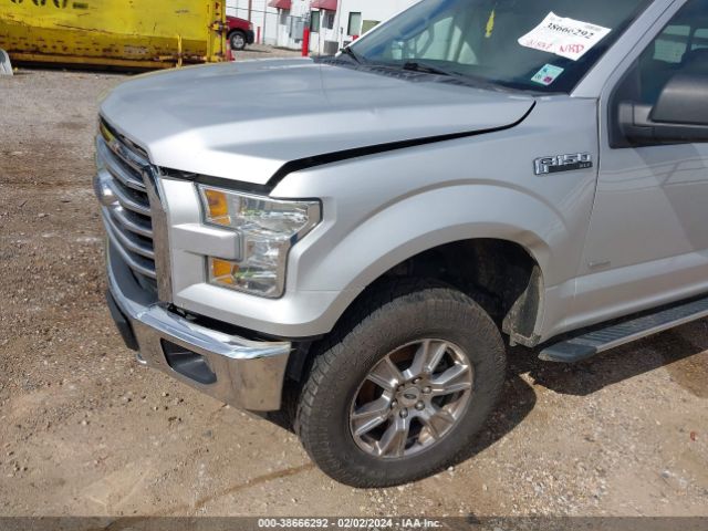 1FTEW1EGXFKD31956 Ford F-150 Xlt