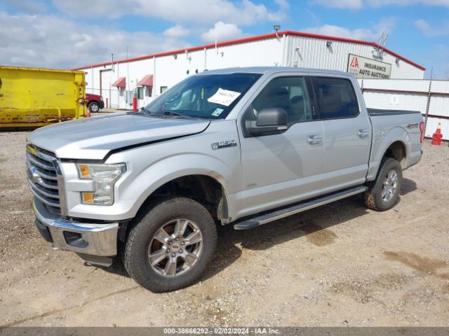 1FTEW1EGXFKD31956 Ford F-150 Xlt