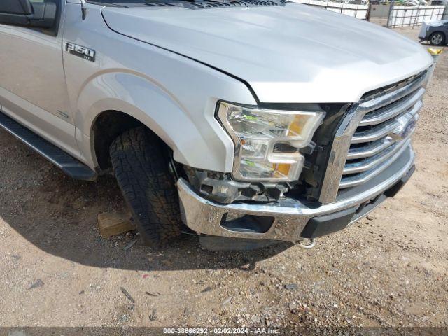 1FTEW1EGXFKD31956 Ford F-150 Xlt
