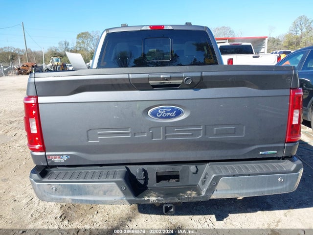 2023 FORD F-150 XLT VIN: 1FTEW1CP8PFC22828