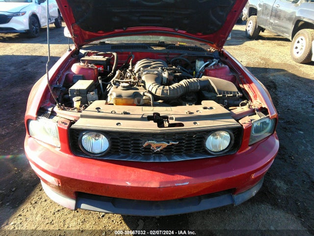 2009 FORD MUSTANG GT/GT PREMIUM VIN: 1ZVHT82H895119987