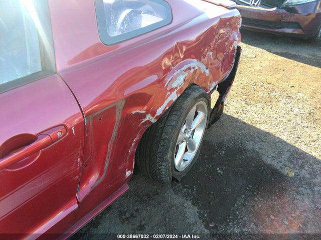2009 FORD MUSTANG GT/GT PREMIUM VIN: 1ZVHT82H895119987