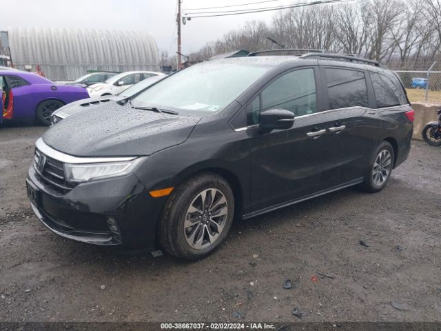 5FNRL6H60PB065582 Honda Odyssey Ex-l
