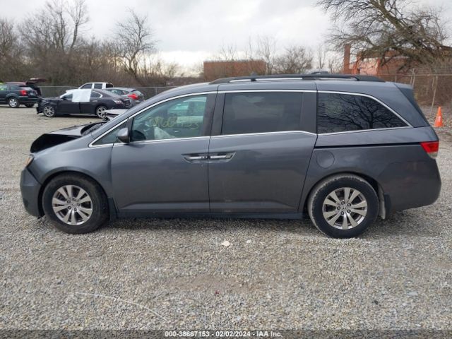 5FNRL5H34GB151784 Honda ODYSSEY SE