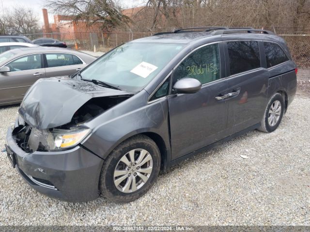 5FNRL5H34GB151784 Honda ODYSSEY SE