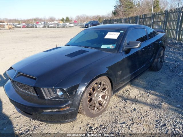 2008 FORD MUSTANG 1ZVHT82H885144676 Photo 1