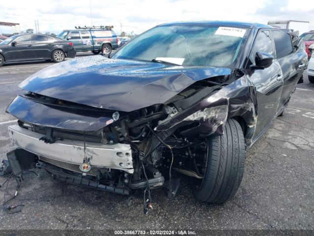 1N4AA6APXGC411131 Nissan Maxima 3.5 Sr