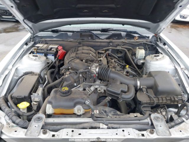 1ZVBP8AMXE5279419 Ford Mustang V6 Premium