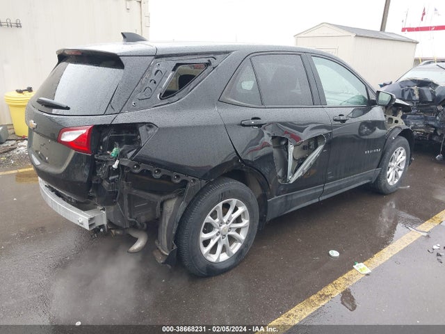 Chevrolet EQUINOX LS 2019 3GNAXHEV0KL384376 Image 4