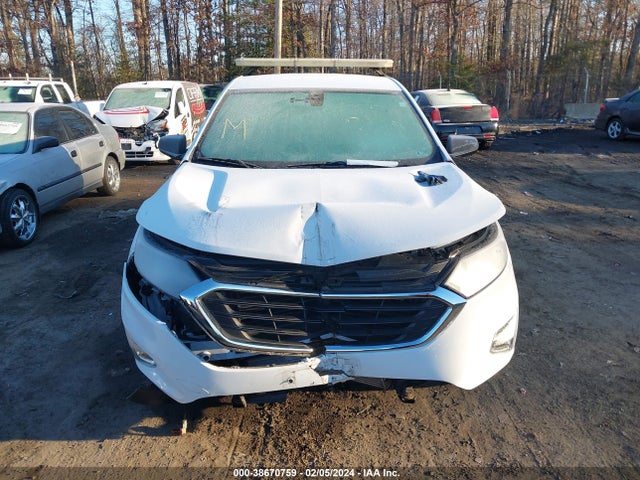 Chevrolet EQUINOX LS 2018 2GNAXHEV4J6228876 Image 12
