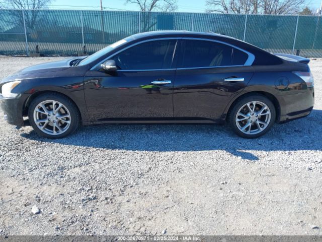 1N4AA5AP1EC451170 Nissan Maxima 3.5 S/3.5 Sv