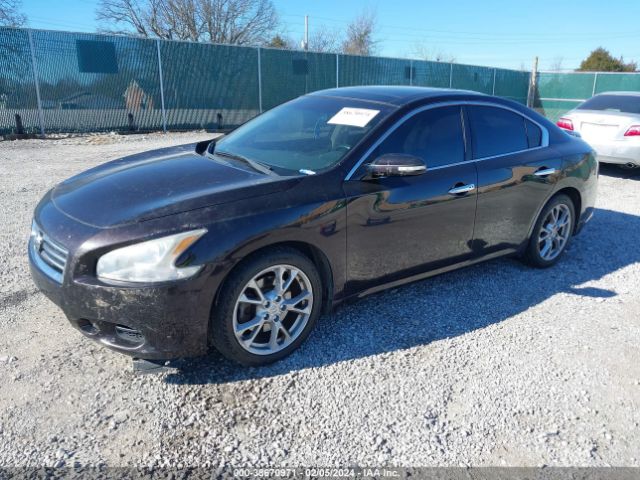 1N4AA5AP1EC451170 Nissan Maxima 3.5 S/3.5 Sv