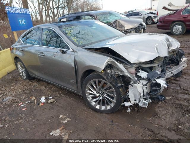 Auction sale of the 2019 Lexus Es 350 Luxury, vin: 58ABZ1B17KU029375, lot number: 38671133