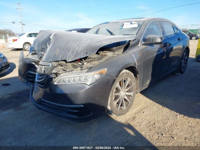 19UUB1F32FA013551 Acura TLX
