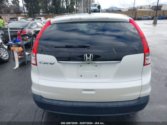 5J6RM3H50EL005695 Honda CR-V EX