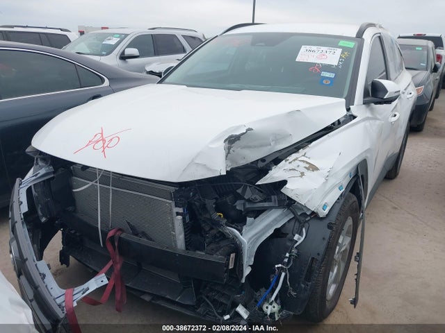 Hyundai TUCSON SEL 2023 5NMJB3AE8PH274972 Image 6