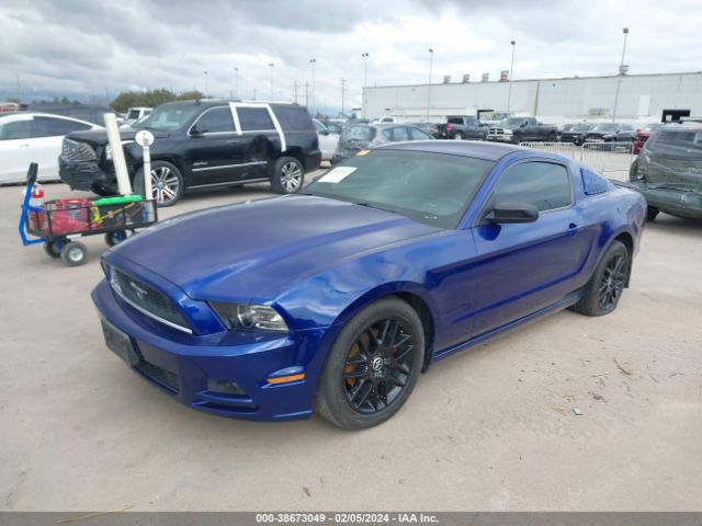 2014 FORD MUSTANG 1ZVBP8AM5E5288013 Photo 1