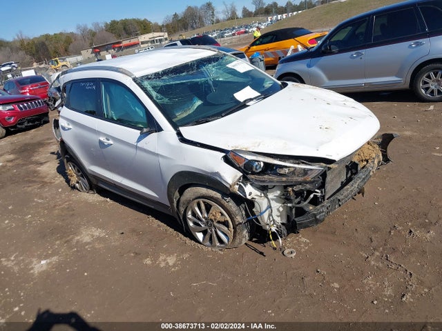Hyundai TUCSON SE 2017 KM8J3CA45HU583745 Image 1