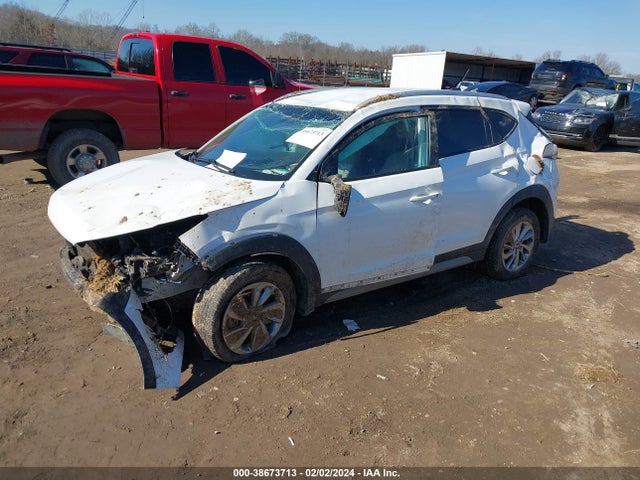 Hyundai TUCSON SE 2017 KM8J3CA45HU583745 Image 2