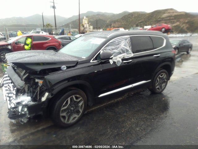 Hyundai Santa Fe Limited 2023 5NMS4DAL0PH534266 Image 2