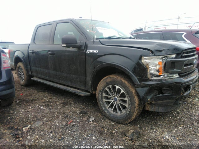 Ford F-150 Xlt 2018 1FTEW1EP6JFE15581 Image 13
