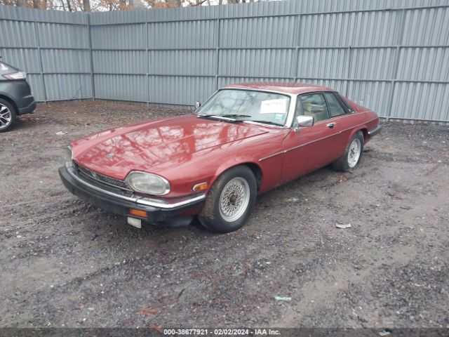 1984 JAGUAR XJS SAJNV5841EC114270 Photo 1