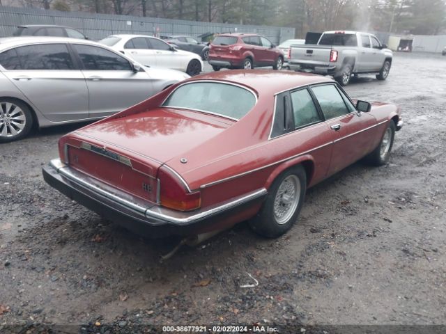 1984 JAGUAR XJS SAJNV5841EC114270 Photo 3