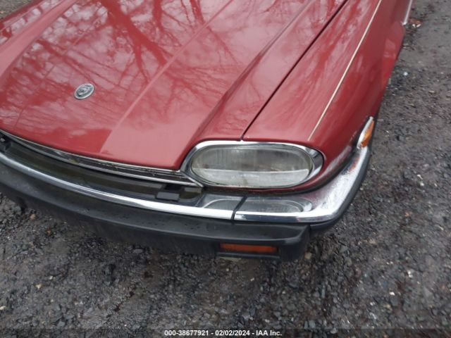 1984 JAGUAR XJS SAJNV5841EC114270 Photo 5