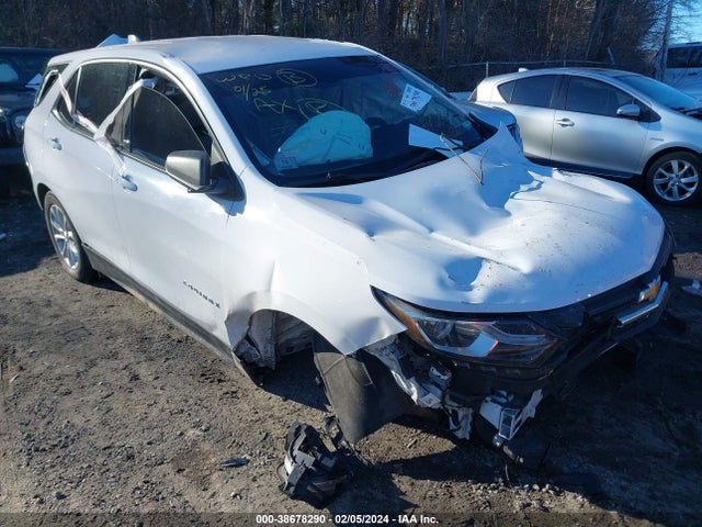 Chevrolet EQUINOX LS 2018 3GNAXREV5JL340944 Image 1