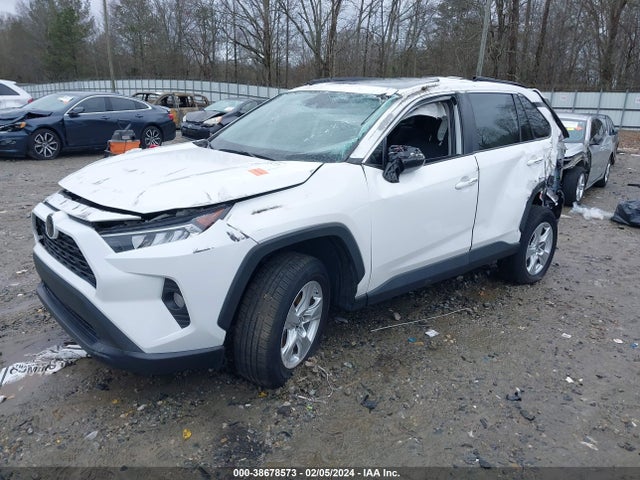 Toyota Rav4 Xle 2019 2T3W1RFV2KC024802 Image 2