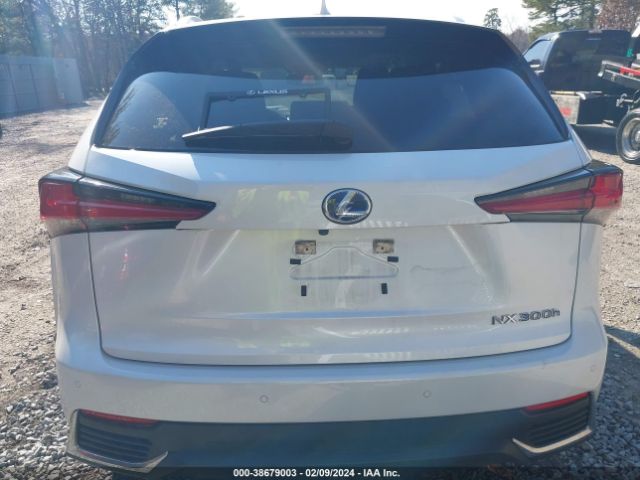 JTJDJRDZ9M5013041 Lexus NX 300H