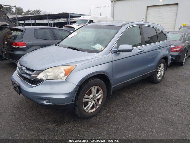 2010 HONDA CR-V EX-L VIN: 5J6RE4H74AL057524