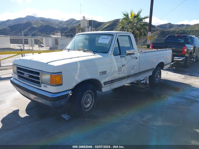 1989 FORD F150 VIN: 1FTDF15N8KLB20771