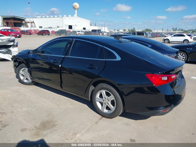 Chevrolet Malibu 1fl 2019 1G1ZC5STXKF123994 Image 13