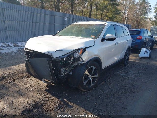 KIA Sorento 3.3l Ex 2016 5XYPHDA58GG100649 Image 2
